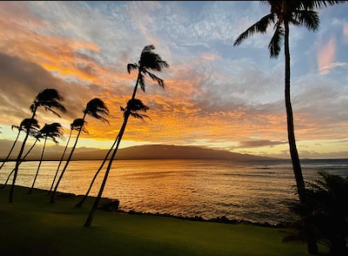 Spectacular Luxury , Modern Oceanfront Maalaea-kihei ,maui Apartment Wailuku