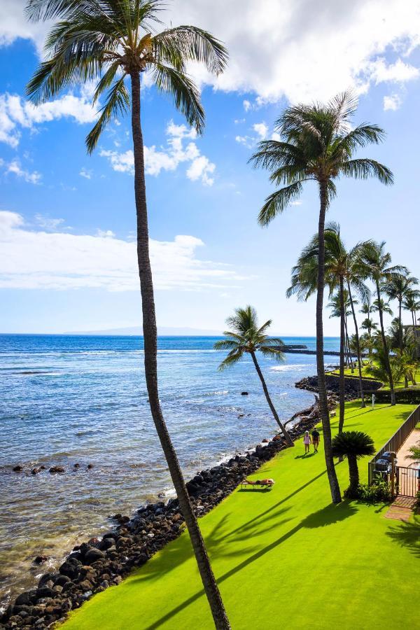 Spectacular Luxury , Modern Oceanfront Maalaea-kihei ,maui * Wailuku