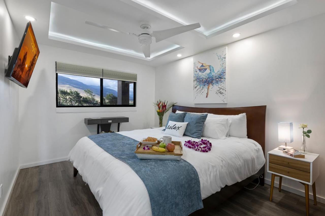 Spectacular Luxury , Modern Oceanfront Maalaea-kihei ,maui Wailuku
